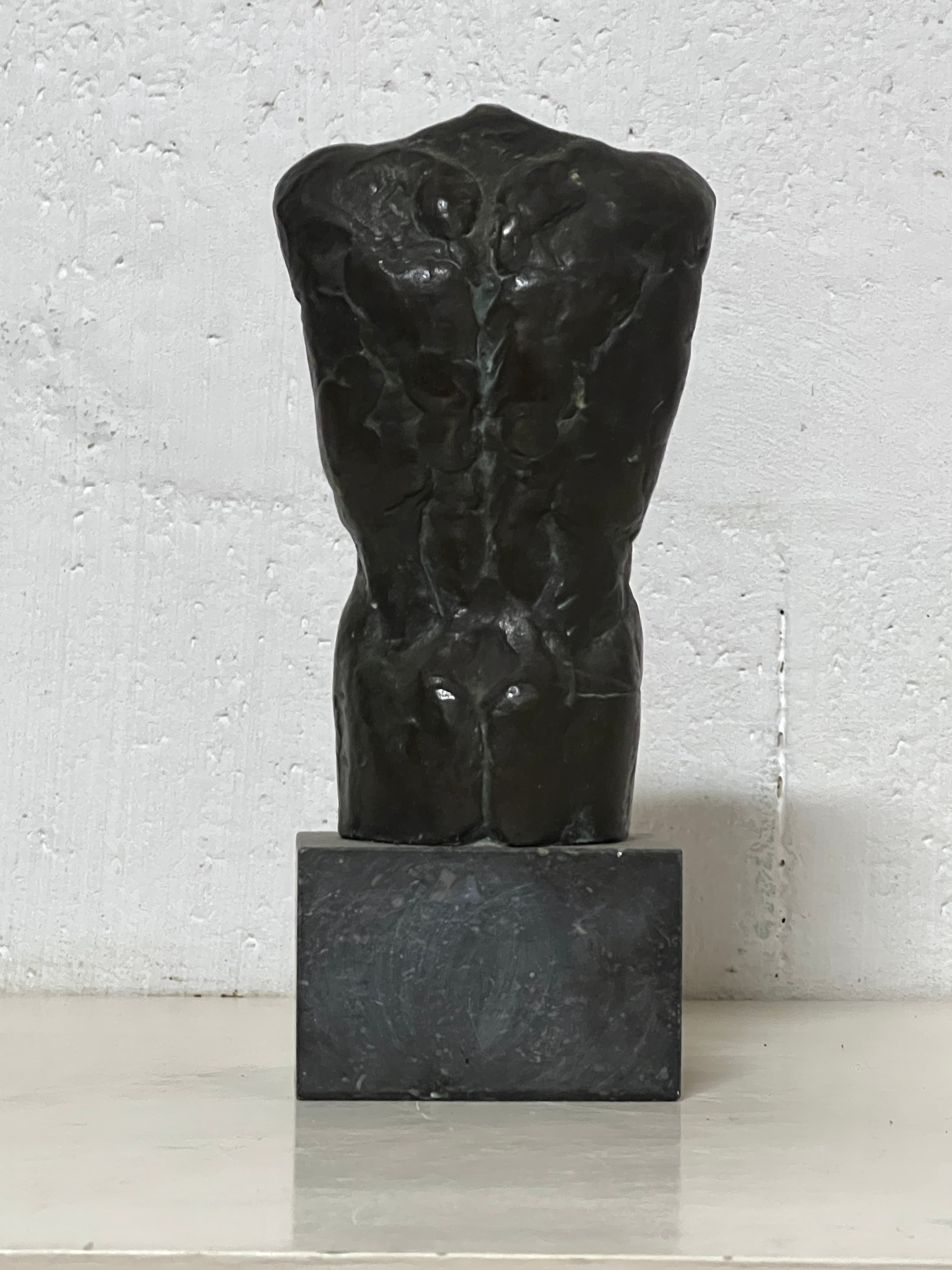 torso