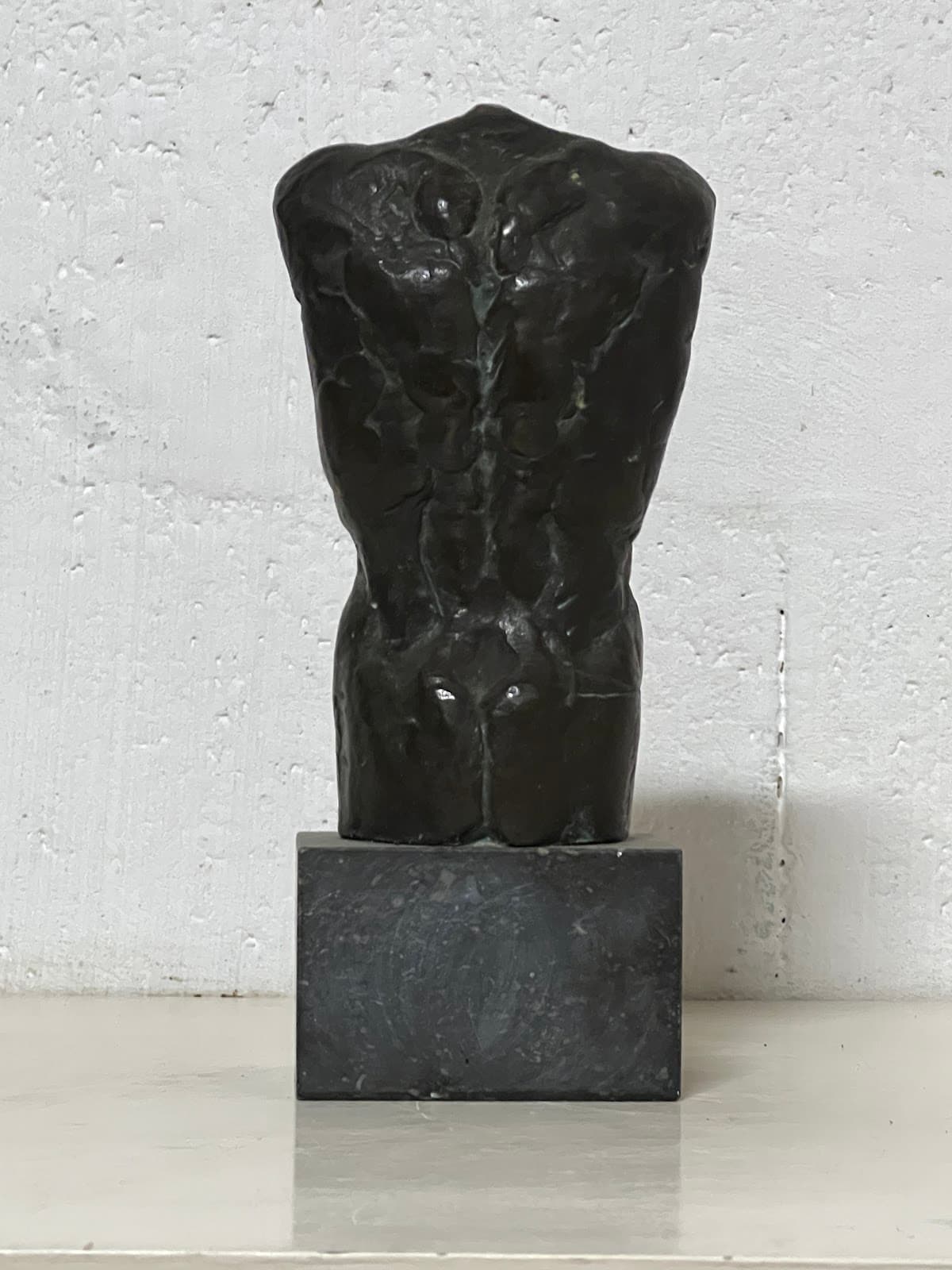 Torse
