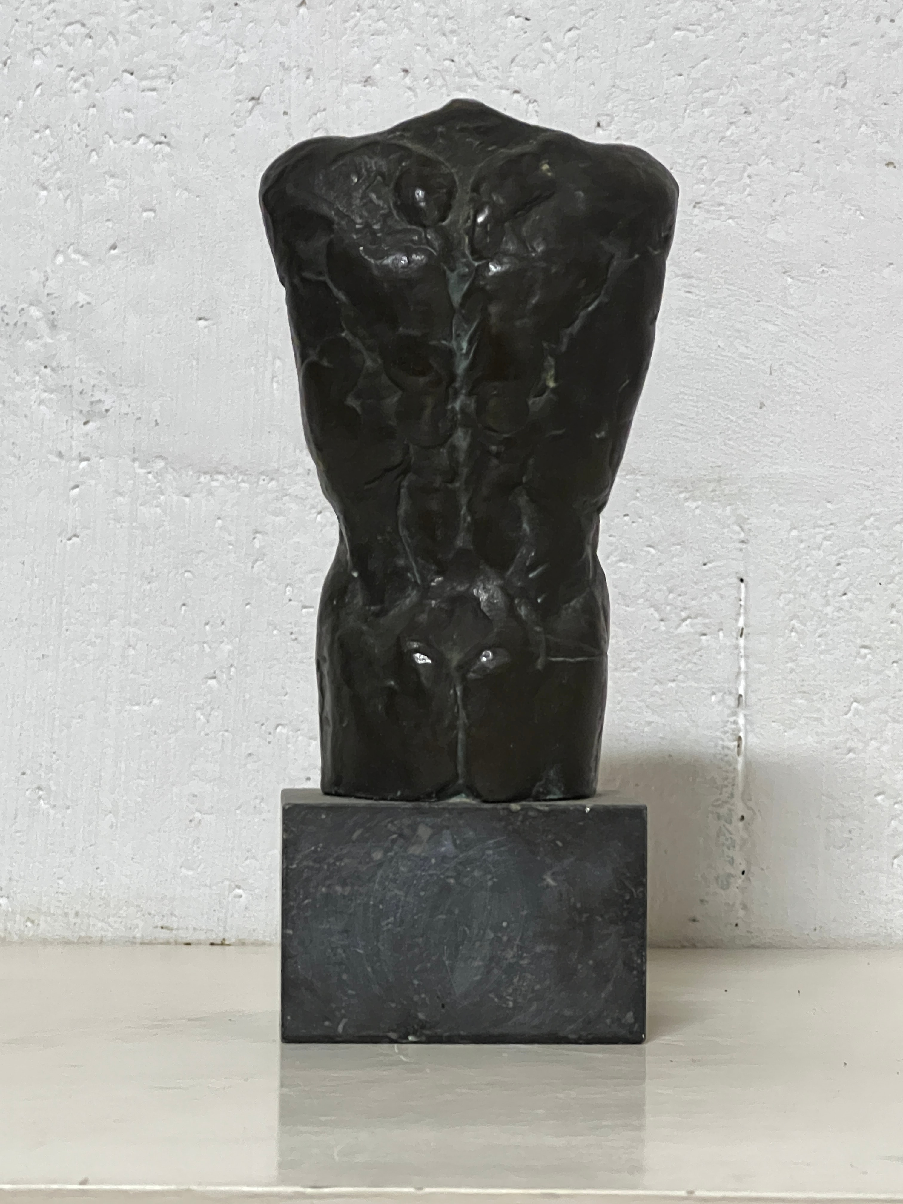 torso