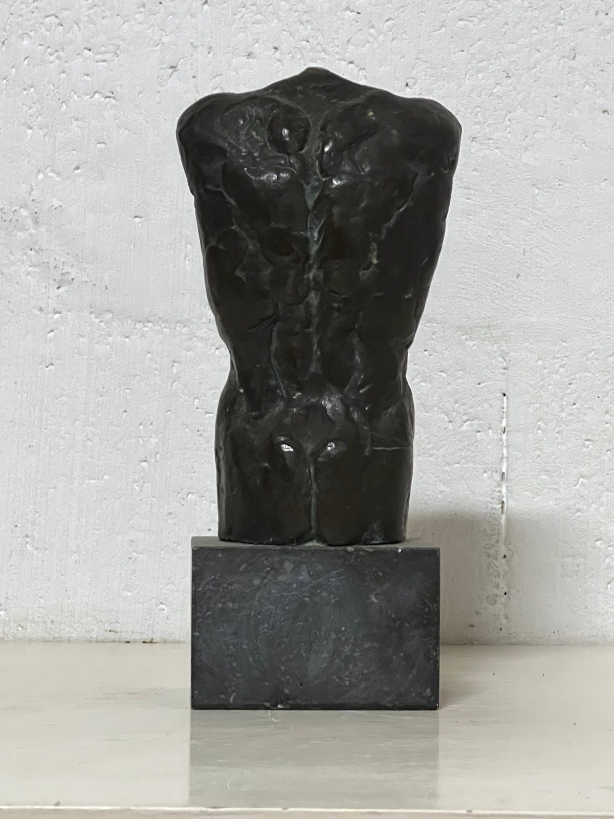torso